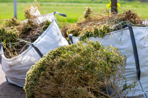 Professional Junk Removal Services in Lynn, MA